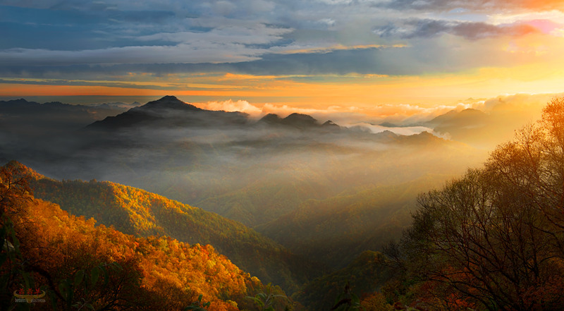 陜西黃柏塬：秋日層林盡染美如畫(huà)。陜西黃柏塬國(guó)家森林公園供圖