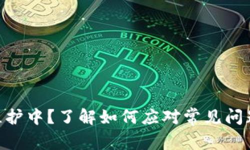  USDT錢包維護中？了解如何應(yīng)對常見問題及解決方案