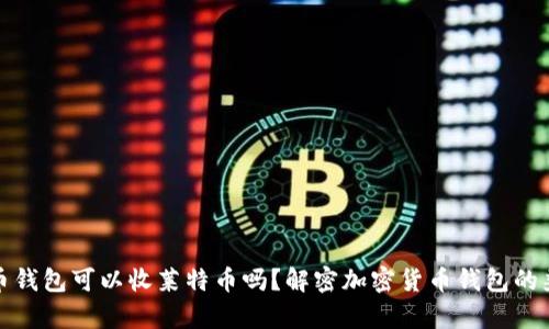 比特幣錢包可以收萊特幣嗎？解密加密貨幣錢包的兼容性