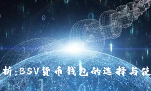 全面解析：BSV貨幣錢(qián)包的選擇與使用指南